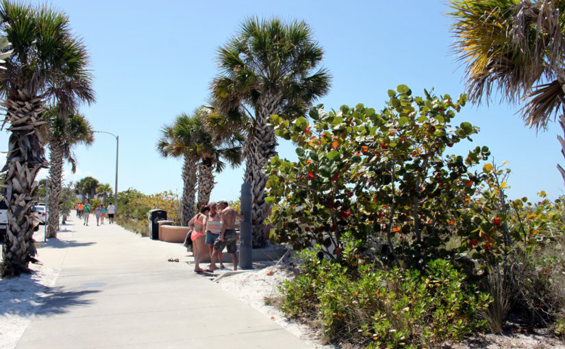 Strandtage und Alltag in Sarasota – USA (9)