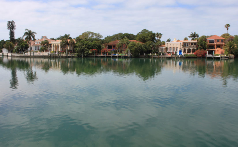 Dolphin Tour in der Sarasota Bay – USA (10)