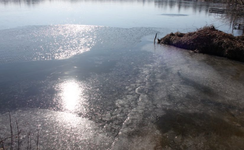 Am Wasser bei klirrender Kälte